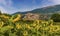 A view across a field of sunflowers toward the Umbrian village of Bovara Pigge near Terni, Italy