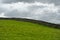 View across fields near Askrigg in Wensleydale