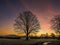 A view across the frost-covered fields at Wroxeter, UK through the early morning mist towards the Wrekin hill