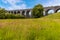 A view across a grassy meadow of the derelict and abandoned viaduct near Catesby, Northamptonshire, UK