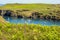 A view across the inner bay of Skomer Island, Wales