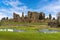 A view across the meadow of the `Great Mere`, Kenilworth, UK towards the ruins of the Kenilworth castle