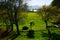 View across a meadow to a sparkling lake and mountains in the background