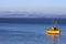 View across Morecambe Bay to Lake District hills