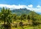 A view across an orchard to the hilltop settlement of Castiglione di Sicilia in the foot hills of Mount Etna, Sicily