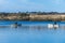 A view across Ravensthorpe Reservoir in Northamptonshire, UK