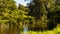 View across river ducks swimming trees blue sky