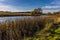 A view across the river Linnet near to Bury St Edmund, Suffolk