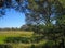 VIEW ACROSS SAVANNA IN AFRICAN WILDERNESS