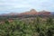 View across Sedona from Airport Mesa, Southwest, Arizona, USA
