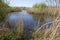 View across Somerset wetlands wildlife reserve