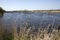 View across the wetlands reserve in Somerset, UK