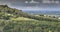 View across the woodland of the scarp slope of the South Downs in Sussex