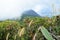 View of active volcano Yzalco