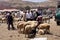 View of the activity at weekly souk, outside Boumanie et Dades