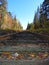 View of ADK railroad track with vanishing line in autumn