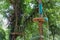 View of the adventure park with obstacles on the trees.