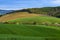 View on agricultural landscape with a field of young corn and forest under blue sky with clouds on a spring day