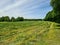 View of an agriculturally used field with green grass