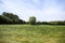 View of an agriculturally used field with green grass