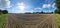 View of an agriculturally used field with green grass