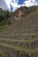 View at the agriculture Inca terraces used for plants farming, Archeological Park in Sacred Valley, Pisac near Cusco, Peru