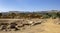 View of Agrigento Sicily from the Temples` Valley