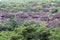 The view of Ajanta caves, the rock-cut Buddhist monuments