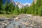 View of Aktru river valley. Altai Republic. Russia