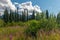 View of Alaskan Mountain Range in Denali National Park, Alaska