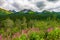 View of Alaskan Mountain Range in Denali National Park, Alaska