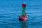 A view of Alaskan Stellar Sea Lions on a buoy in Auke Bay on the outskirts of Juneau, Alaska