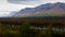 View of Alaskan Wilderness in Fall Colors