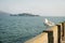 View on Alcatraz island from the piers