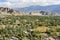 View all Leh city form Shati Stupa