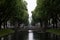 View on an allee surrounded by trees in dÃ¼sseldorf germany