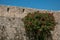 View of alley with stone wall and flowered bush in Saint-Paul-de-Vence.