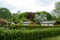 view into a allotmant gardens, hedges left and right, roof of tiny houses