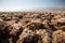 View along Badwater Road in Death Valley National Park, California. Badlands, canyon