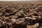 View along Badwater Road in Death Valley National Park, California. Badlands, canyon