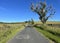 View along the, Clitheroe to Skipton road, on a summers day in, Slaidburn, Clitheroe, UK