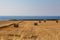 A view along the Karpas Peninsula in Northern Cyprus, with haybales in a field in front of the ocean