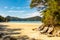 A view along the many bays and golden beaches at the incredibly beautiful Able Tasman National Park, South Island, New Zealand