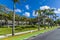 A view along the palm tree lined Constitutional Avenue in San Juan, Puerto Rico