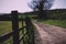 View along a path in the Chilterns, England Vintage Retro Filter