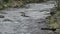 View along the River Glaslyn near Beddgelert