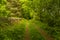 A view along the shoreline path beside Cropston Reservoir in Leicestershire