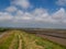 View along the South West Coastal Path near Horsey Island, Braunton Marsh, North Devon.