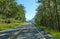 View along the straight running Glenn Highway from a forest onto the Matanuska River.