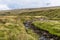 A view along a stream on the Dales near Hawes, Yorkshire, UK